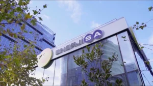 Enerjisa’dan 5,25 Milyar TL’lik Rekor Tahvil İhracı