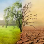 Kuraklık Ekonomiyi Vuruyor: Su Kıtlığı Gıda ve Enerji Fiyatlarını Yükseltiyor