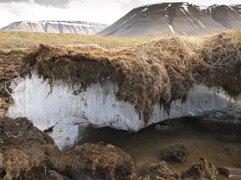 Permafrost Tehlikesi: +4,5 °C Isınma Neye Yol Açar?