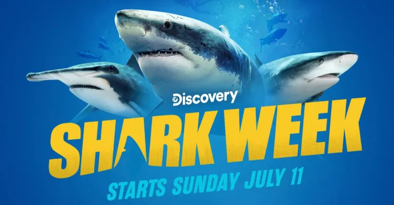 Shark Week 2025: Köpekbalıklarıyla Su Altı Dansı Başlıyor
