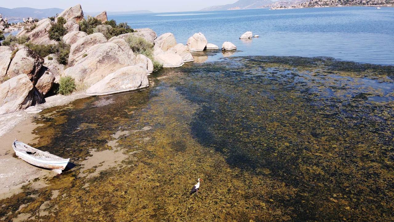 Su Çekildi, Bafa Gölü Kirlilikle Mücadele Ediyor