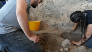 5000 Yıllık Ekmeğe Fransız Desteği