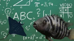 Balıklar Matematik Yapabilir mi? Akvaryumdaki Dahileri