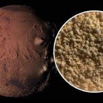 Mars'ta Gizemli Kaya Küreleri Keşfedildi