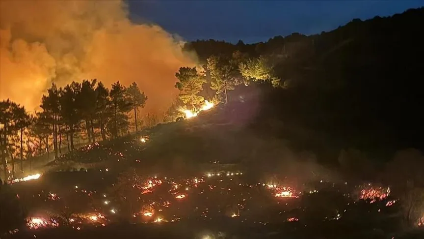 Muğla ve Adana'da Yangın Alarmı, Bolu'da Sevindirici Haber