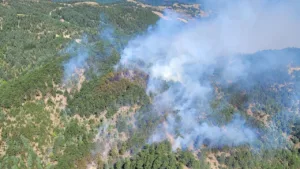 Muğla ve Adana'da Yangın Alarmı, Bolu'da Sevindirici Haber