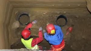 Norveç’te Tarihi Keşif: Buzul Çağı Hayvanları