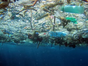 Okyanusun Derinlikleri Plastik Atıklarla Kirleniyor