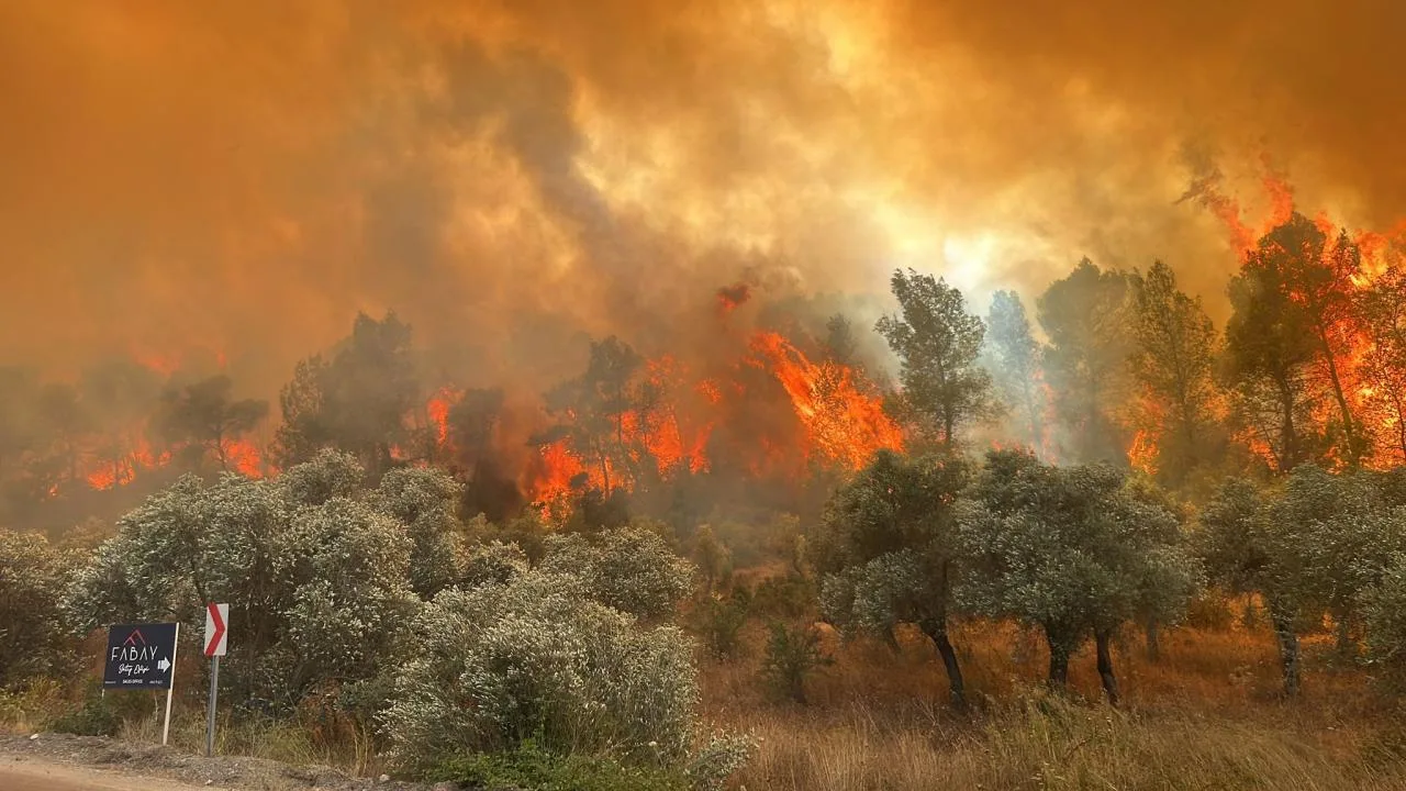 Orman Yangını Riski Eylül’e Kadar Sürecek