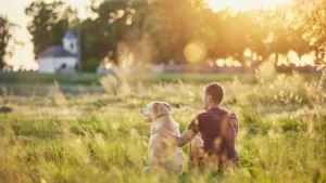 Köpekler ve Doğa: Karbon Ayak İzi Tartışması