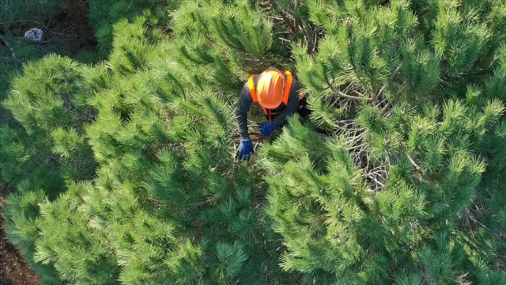 OGM 262 Daimi İşçi Alıyor