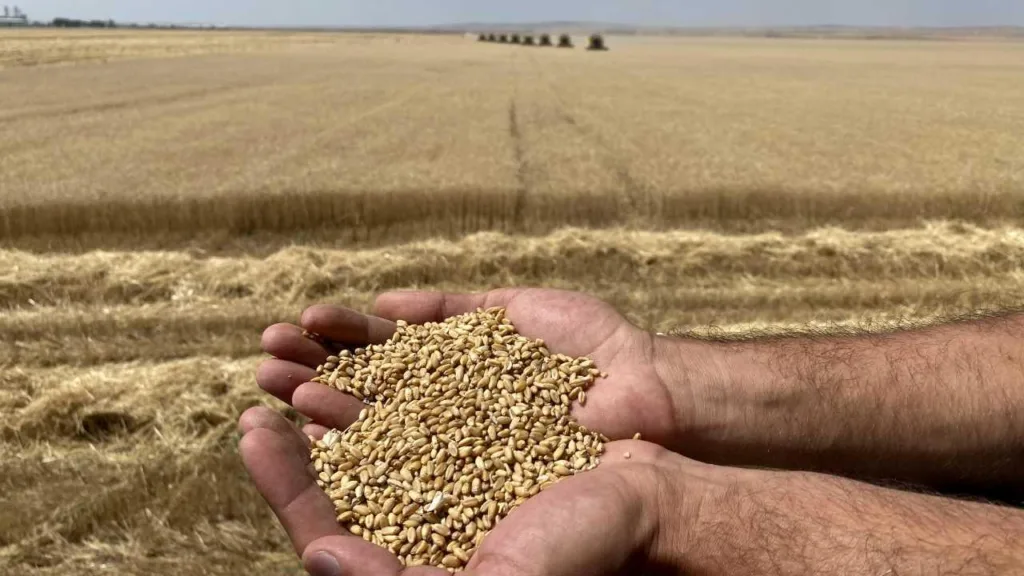 Türkiye'nin Gıda İhtiyacı Kontrol Altında