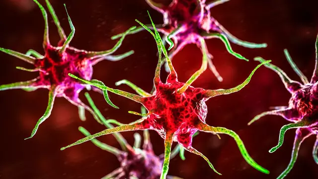 Yeni Pandemi Korkusu