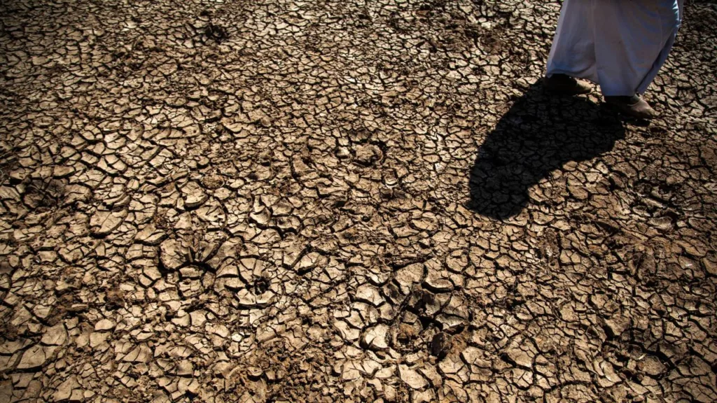 FAO'dan Türkiye'ye Erozyon ve Kuraklık İçin 8.1 Milyon $ Destek