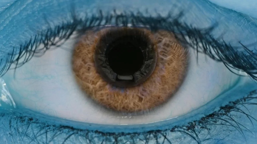 Kök Hücre Nakli ile Yaşa Bağlı Görme Kaybı Tedavisi