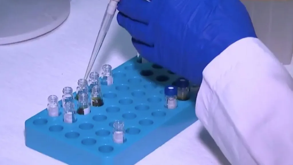 Pestisit Limitleri Yeniden Düzenlendi