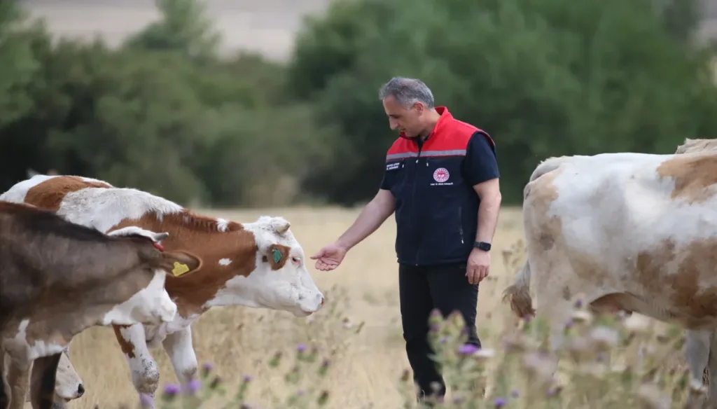 Şap Hastalığı Başarıyla Kontrol Altında