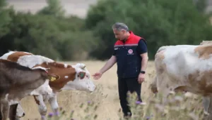 Tarım Bakanlığı: Şap Hastalığı Başarıyla Kontrol Altında