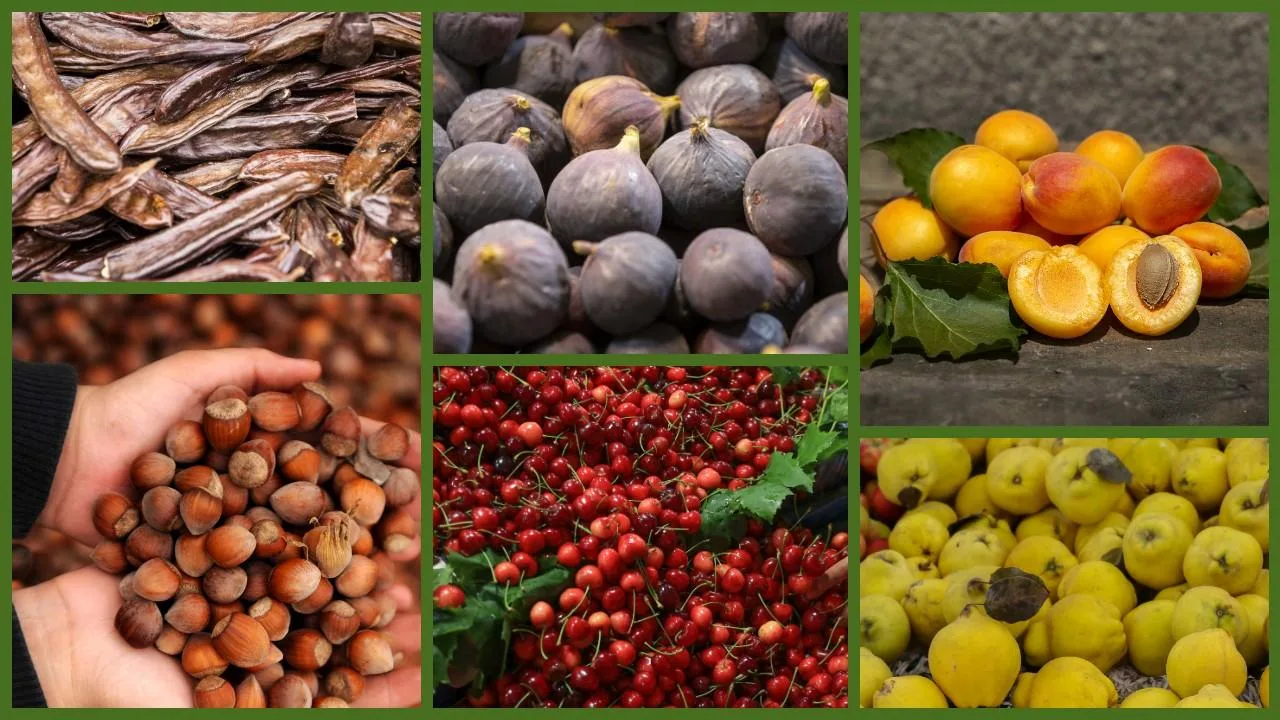 Türkiye'nin Dünya Birincisi Olduğu 7 Ürün