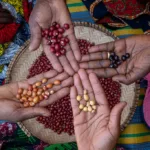 Tarımın Geleceği: Tohum Bankaları Neden Hayati Önem Taşıyor?