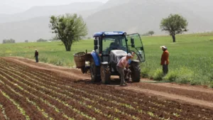 Mazot ve Gübre Desteği Değişti: İşte Yeni “Temel Destek”