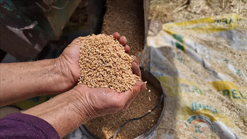 TMO'dan Gıda Güvencesi