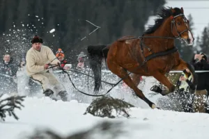 Karlar Üzerinde Vahşi Yarış: Skijoring Nedir, Nasıl Yapılır?
