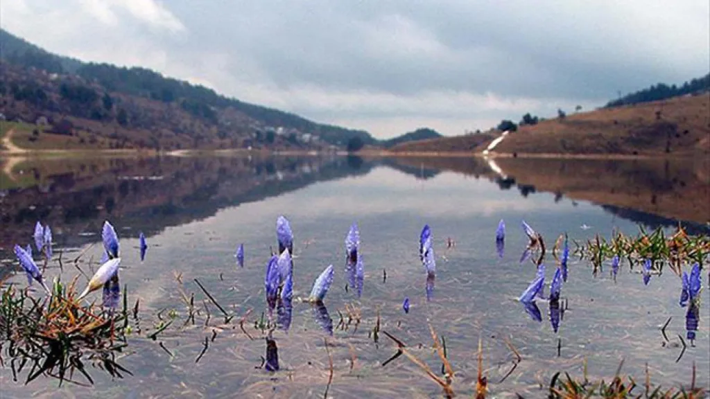 Cemre Suya Ne Zaman Düşecek