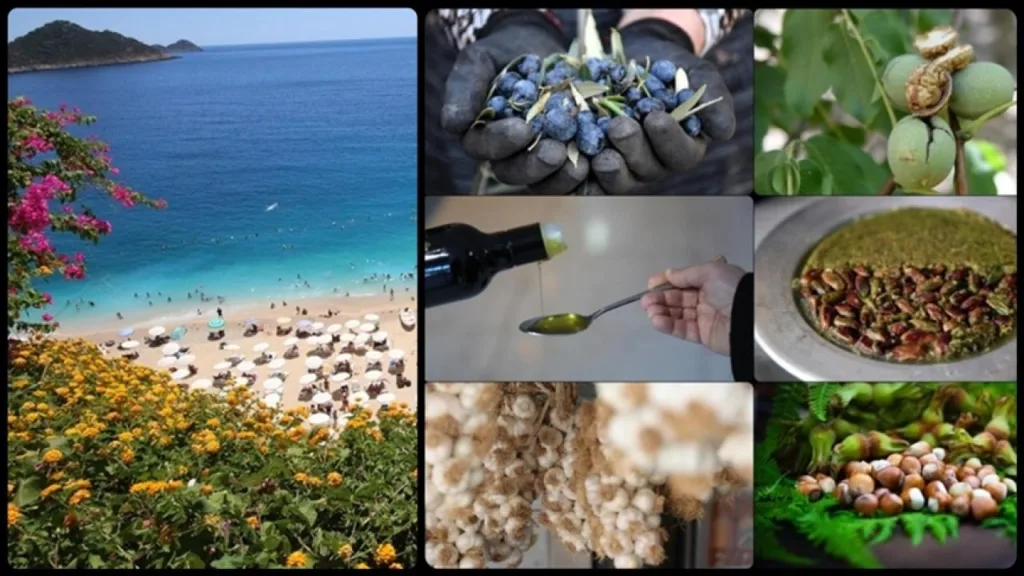 Coğrafi İşaret Zirvesi: Başvuruda Antalya, Tescilde Hatay