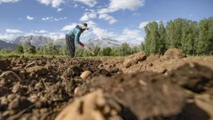 Türkiye’nin Köyleri Boşalıyor: Kırsal Nüfus %6,4’e Geriledi
