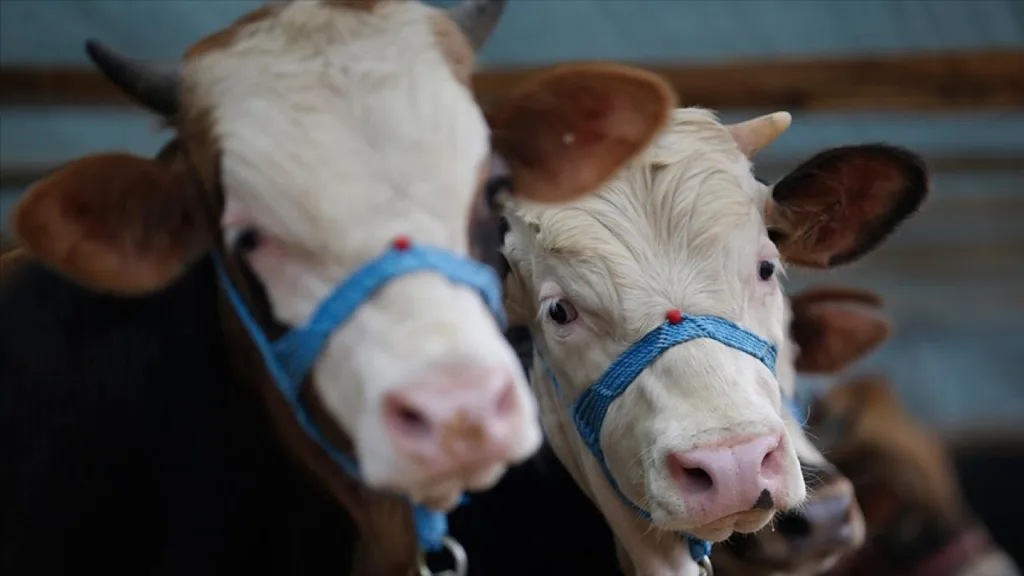 15 Köy Karantinaya Alındı
