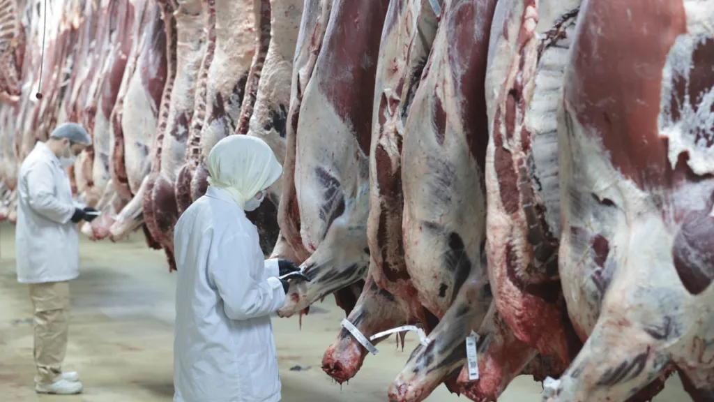 Ankara Merkezli 8 İlde Kırmızı Et Operasyonu