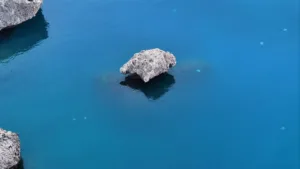 Antalya Körfezi’nde Denizanası İstilası: Uzmanlar Uyardı