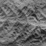 İlk Kitlesel Yok Oluş: Beklediğimizden Çok Daha Şiddetliydi