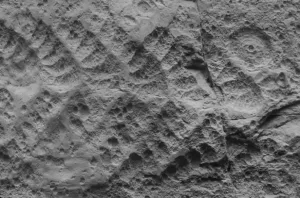 İlk Kitlesel Yok Oluş: Beklediğimizden Çok Daha Şiddetliydi