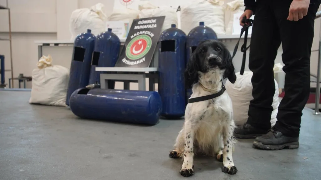 İpsala’da Narkotik Köpeklerinden Kaçamadılar