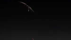 İran’dan İsrail’e Füze Yağmuru: Tel Aviv Semaları Karıştı