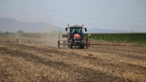 IPARD III: Kırsal Kalkınmaya 241 Milyon Euro Dev Hibe