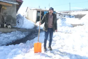 Kars’ta Cesur Besici: Kurt Sürüsüne Karşı Kürekle Direniş