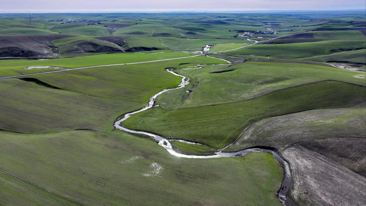 Menderesler Yeniden Canlandı