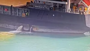 Mersin’de Denizi Kirleten Gemiye 13 Milyon TL Rekor Ceza