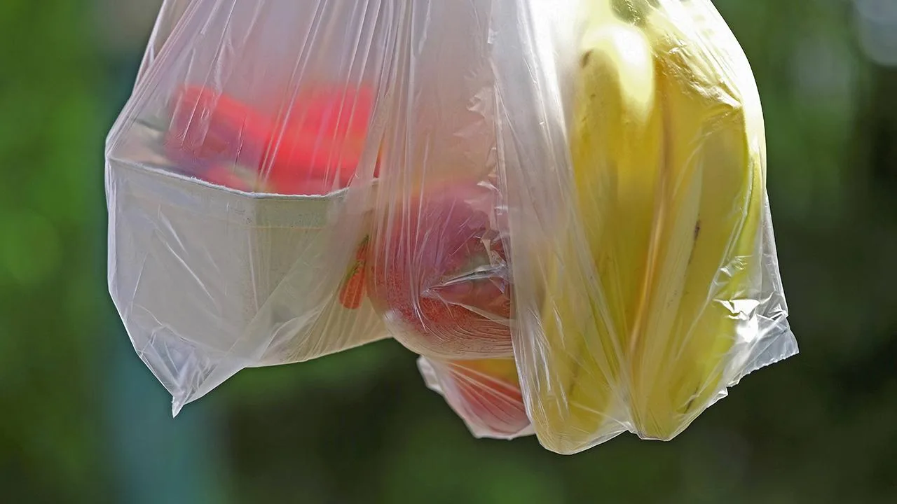 Plastik Poşet Uygulamasıyla 2,8 Milyon Ton Atık Engellendi