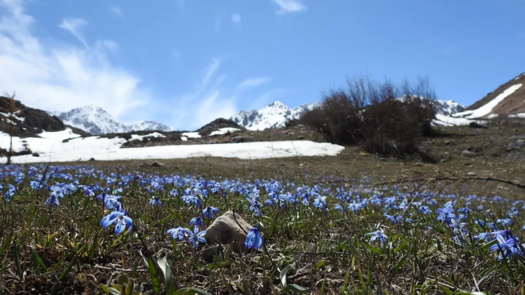 Türkiye'de Son 56 Yılın En Sıcak 3. Şubat Ayı Yaşandı