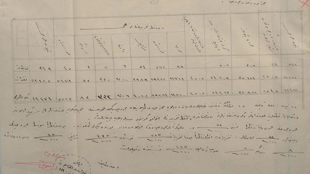 Çanakkale’nin Tıbbi Bilançosu: 111 Yıl Sonra Gelen Belge