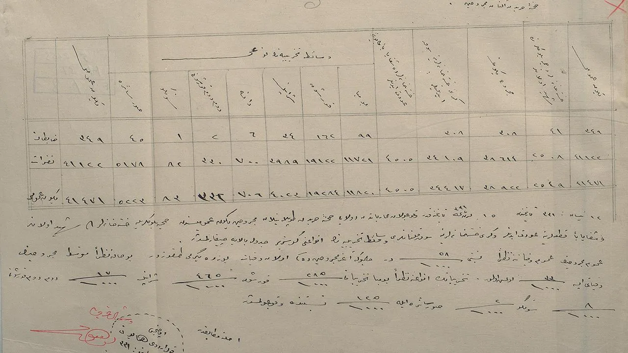 Çanakkale’nin Tıbbi Bilançosu: 111 Yıl Sonra Gelen Belge