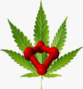 Kenevir Yağı ve Ozon