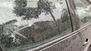 Meteoroloji’den Fırtına ve Toz Taşınımı Alarmı