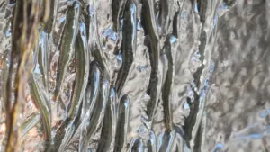 Şelale Tırmanan Balıklar: Doğanın En Şaşırtıcı Dağcıları