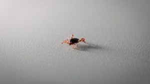 Tokat’ta KKKA Alarmı: 2 Kişi Hastanede Tedavi Altında