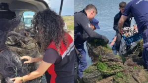 İzmir’de Yasa Dışı Avcılığa Darbe: 7 Ton Ürüne El Konuldu
